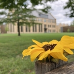 Kenyon College