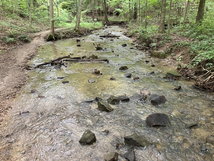 Honey Run Waterfall