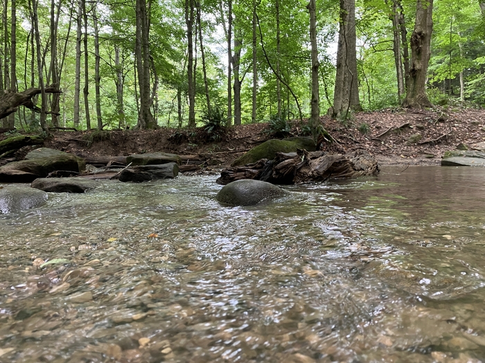 Honey Run Waterfall
