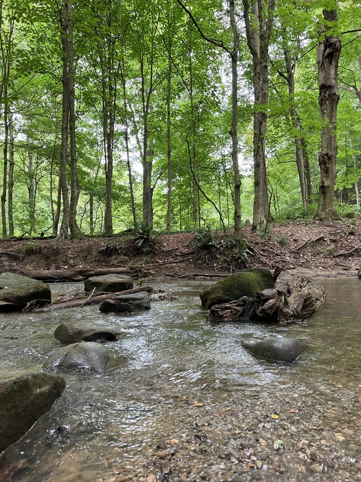 Honey Run Waterfall