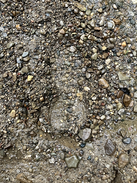 My Footprint