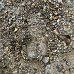 My Footprint