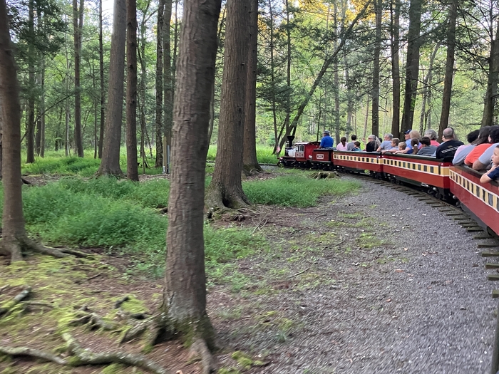 Pioneer Train