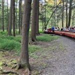 Pioneer Train