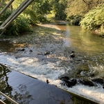 Knoebels