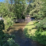 Knoebels