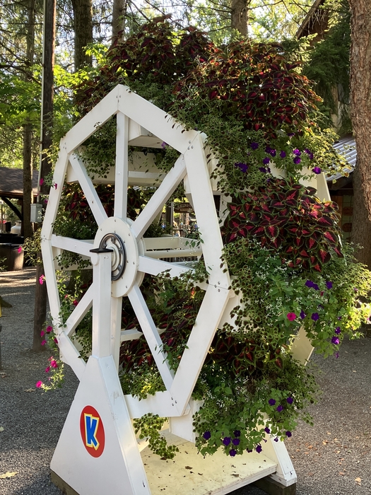 Knoebels