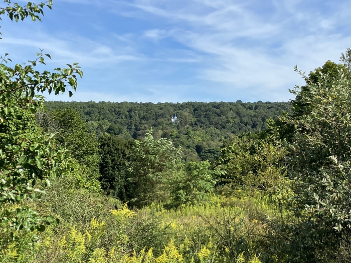 Centralia