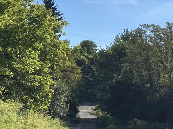 Centralia