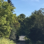 Centralia