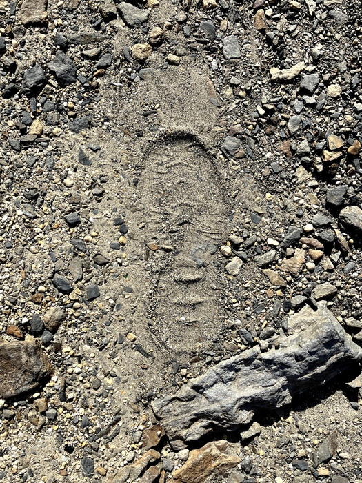 My Footprint