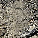 My Footprint