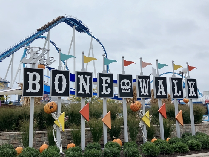 Cedar Point