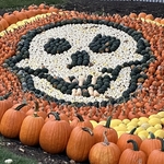Cedar Point