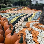 Cedar Point
