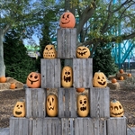 Cedar Point