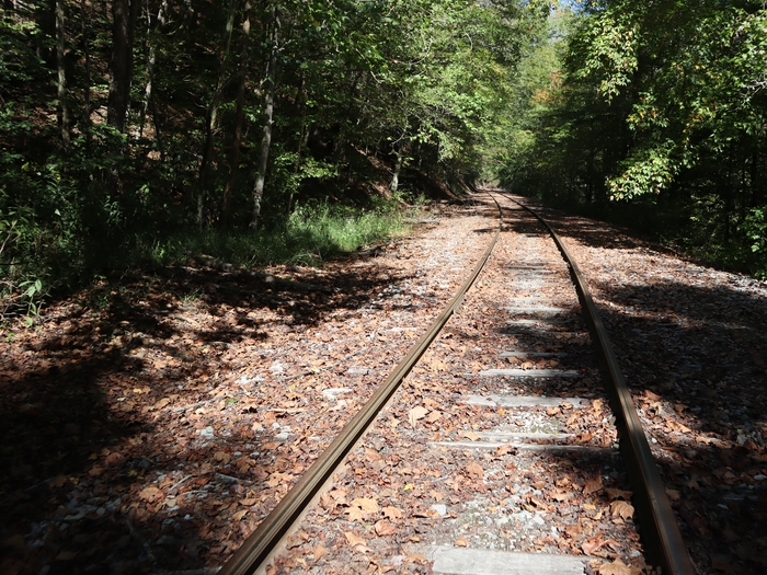 Rail Explorers