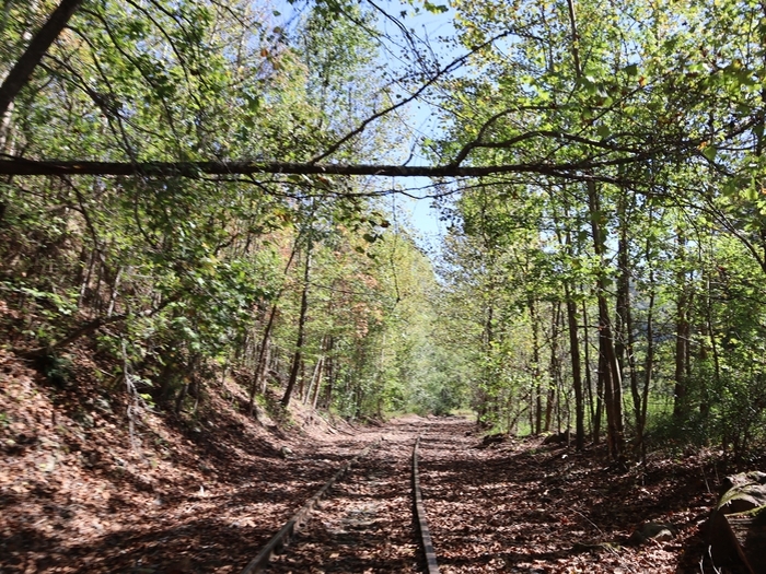Rail Explorers