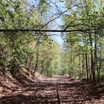 Rail Explorers