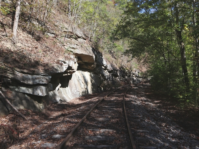 Rail Explorers