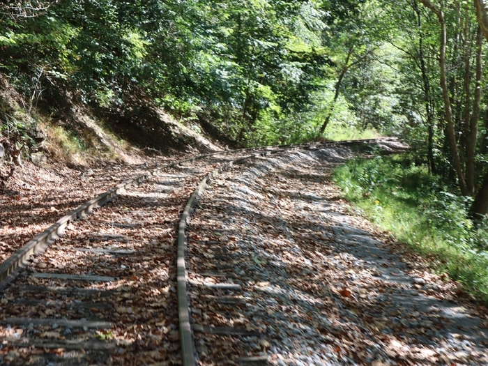 Rail Explorers