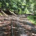 Rail Explorers
