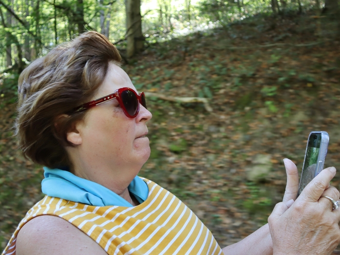 Luann