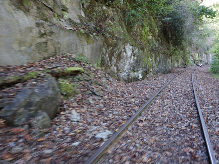 Rail Explorers