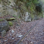 Rail Explorers