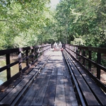 Rail Explorers