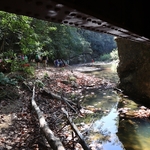 Rail Explorers