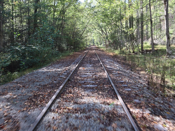 Rail Explorers