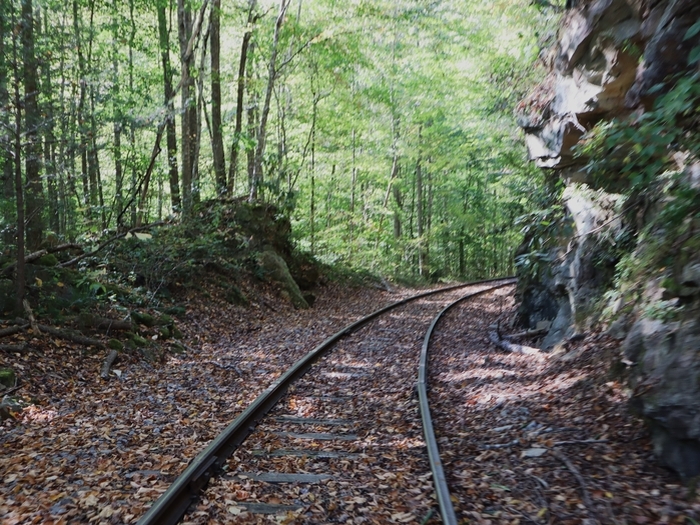 Rail Explorers