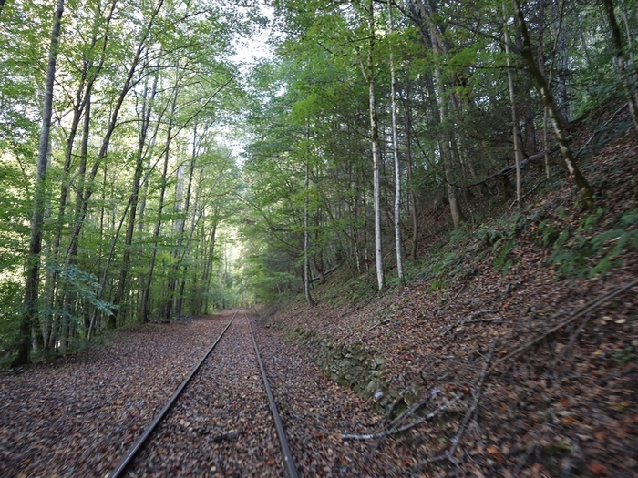 Rail Explorers