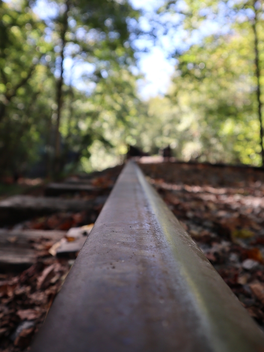 Rail Explorers
