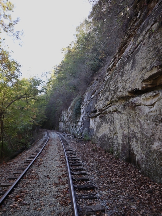 Rail Explorers