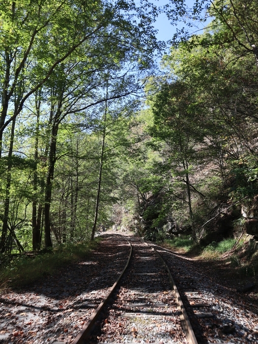 Rail Explorers