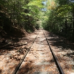 Rail Explorers