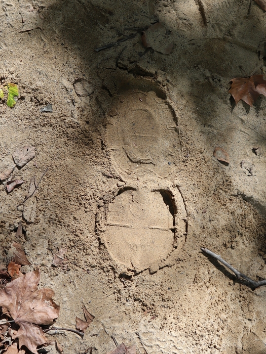 My Footprint